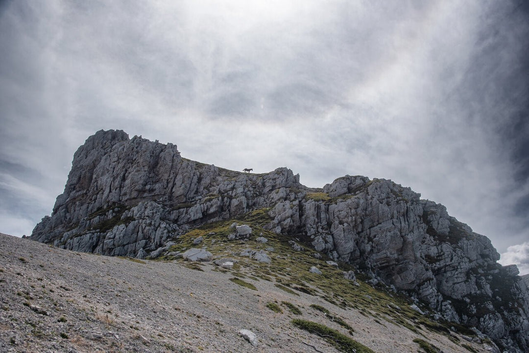 Monte Crepacuore e Il Sentiero Dei Fiori - Strike Adventure