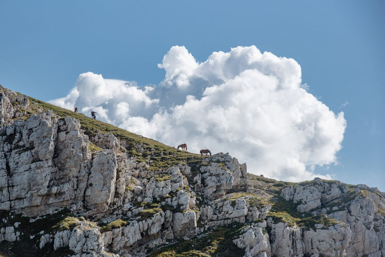 Monte Crepacuore e Il Sentiero Dei Fiori - Strike Adventure