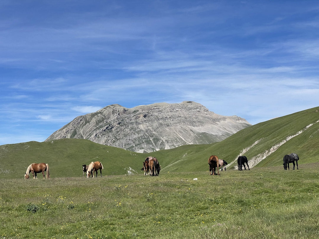 Monte Ienca e i panorami mozzafiato del Gran Sasso - Strike Adventure