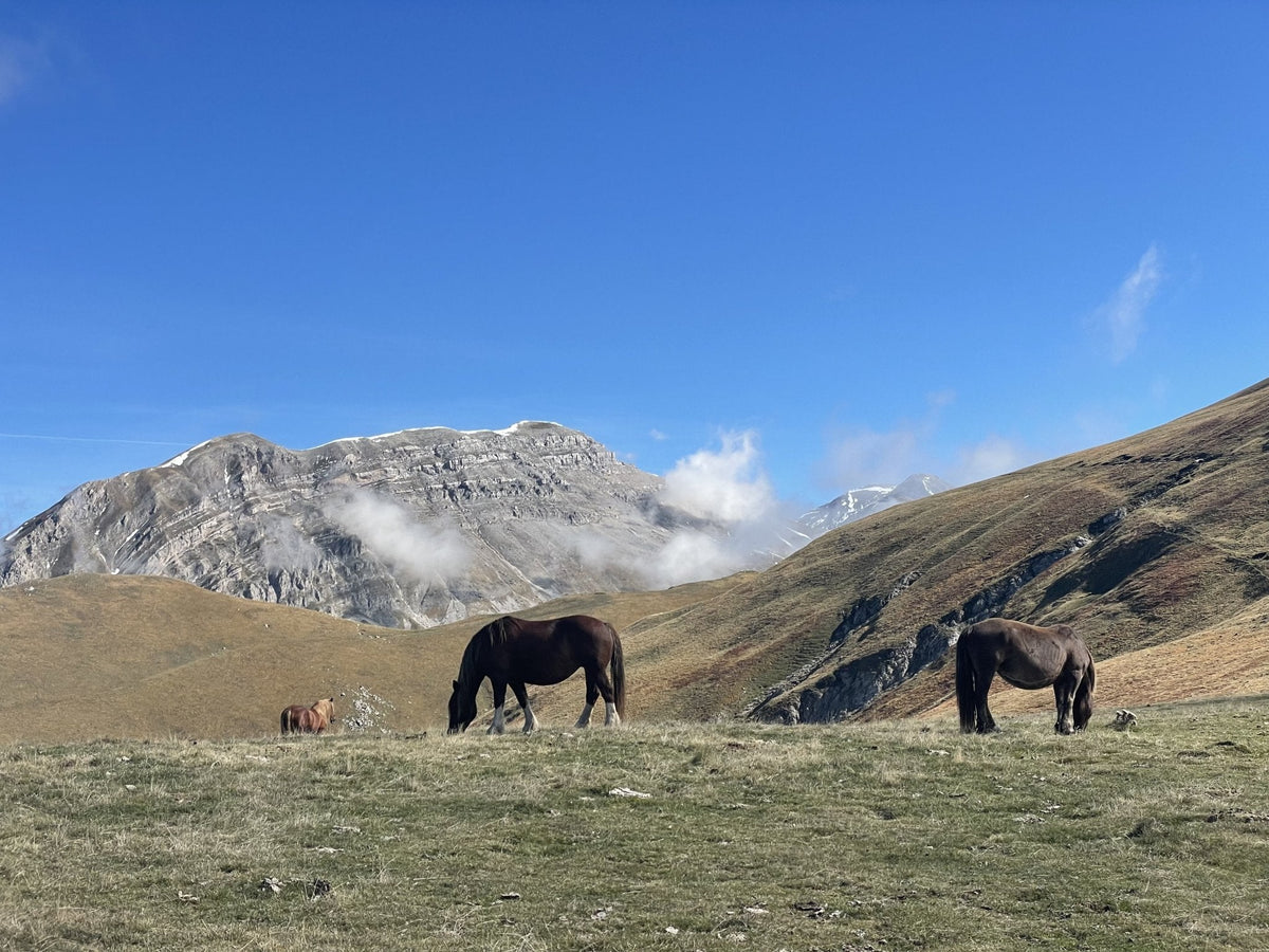 Monte Ienca e i panorami mozzafiato del Gran Sasso - Strike Adventure