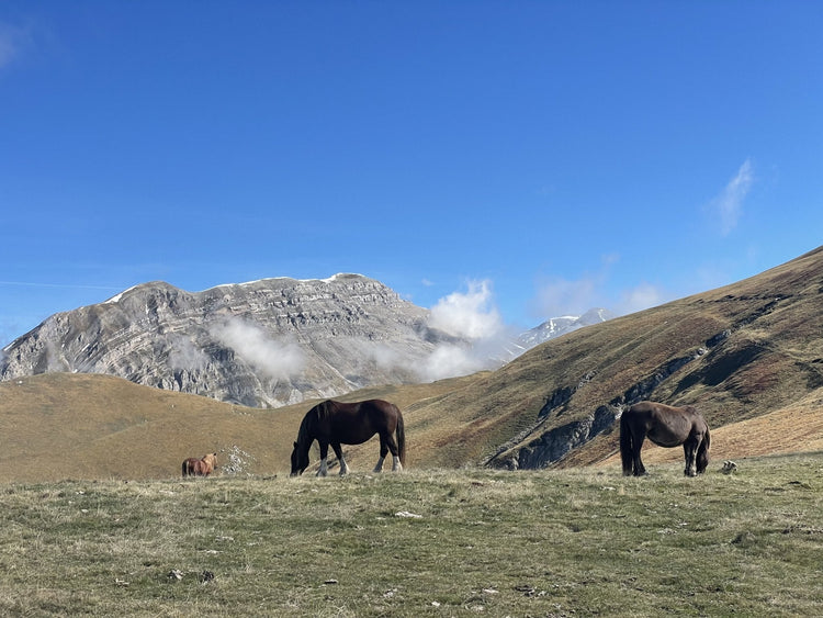 Monte Ienca e i panorami mozzafiato del Gran Sasso - Strike Adventure