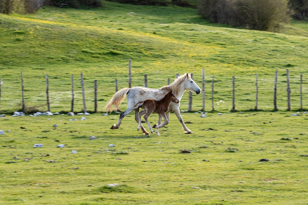 Monte Lupone e le sue Terrazze sul Mare - Strike Adventure