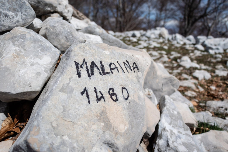 Monte Malaina e le sue terrazze sul mare - Strike Adventure