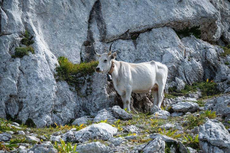 Monte Ortara: panorami e creste dei Monti Ernici - Strike Adventure