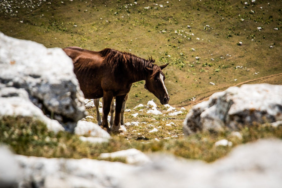 Trekking Monte Toorecane e il Lago di Rascino | Strike Adventure