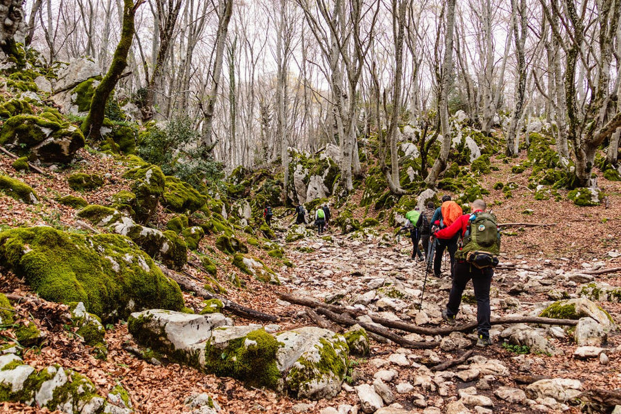 Monte Gennaro e i suoi Panorami a 360° - Strike Adventure