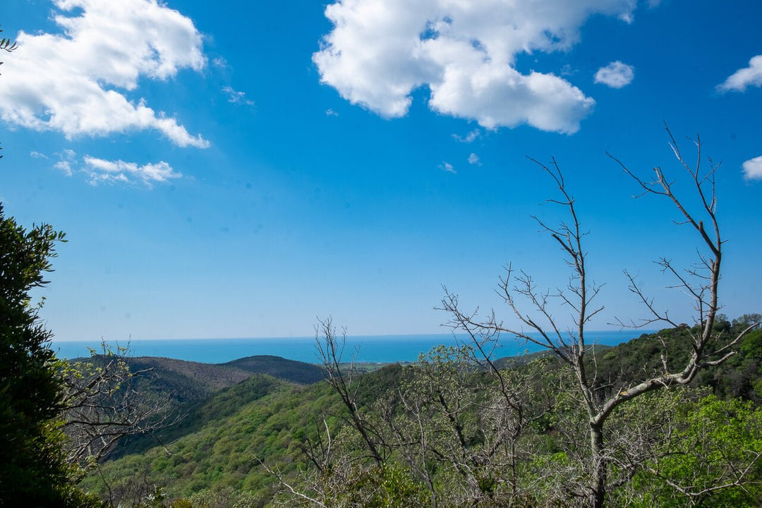 Panorami E Suggestioni Dei Monti Della Tolfa - Strike Adventure