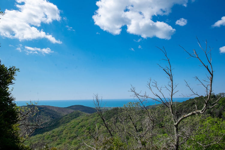 Panorami E Suggestioni Dei Monti Della Tolfa - Strike Adventure