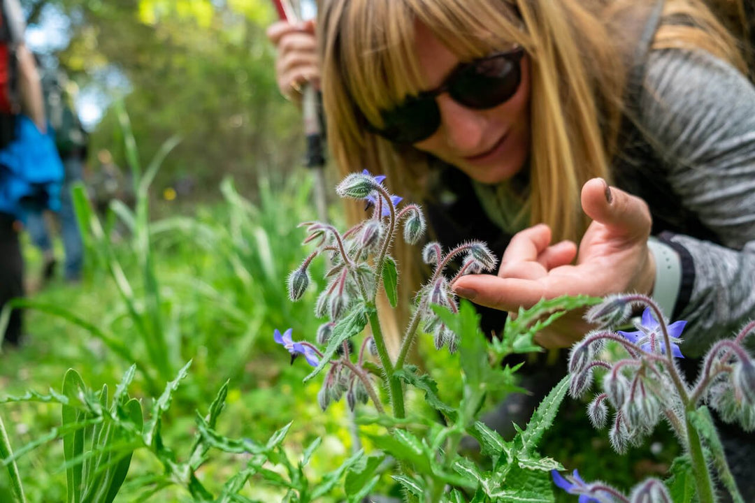 Panorami E Suggestioni Dei Monti Della Tolfa - Strike Adventure