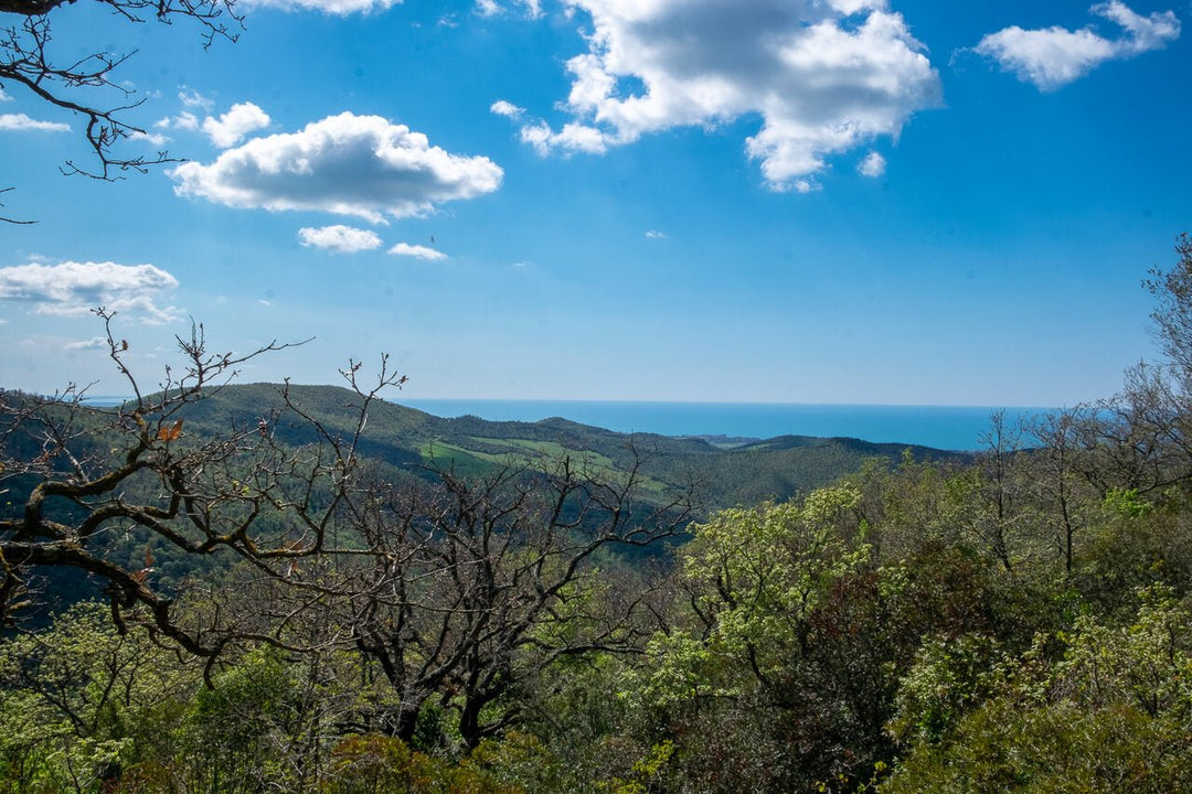 Panorami E Suggestioni Dei Monti Della Tolfa - Strike Adventure