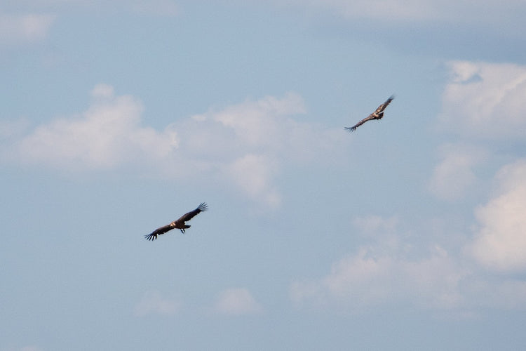 Pasquetta al Monte Torrecane con Pic Nic ai laghi di Rascino e Cornino - Strike Adventure