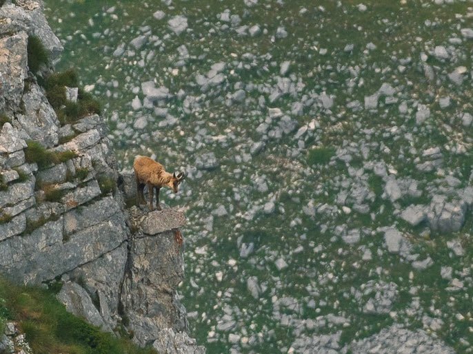 PNALM over 2000: in cammino tra le più alte vette dell'area protetta più antica d'Italia - Strike Adventure