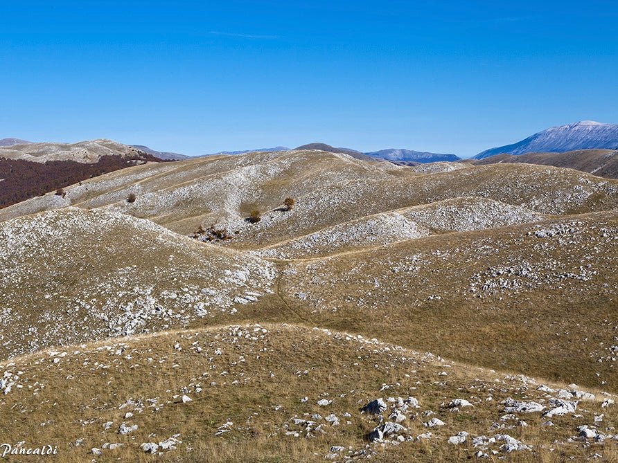 PNALM over 2000: in cammino tra le più alte vette dell'area protetta più antica d'Italia - Strike Adventure