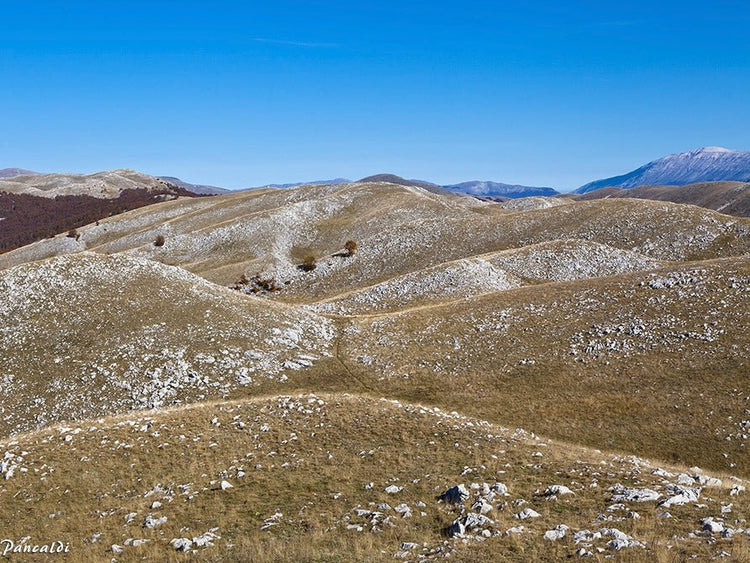 PNALM over 2000: in cammino tra le più alte vette dell'area protetta più antica d'Italia - Strike Adventure