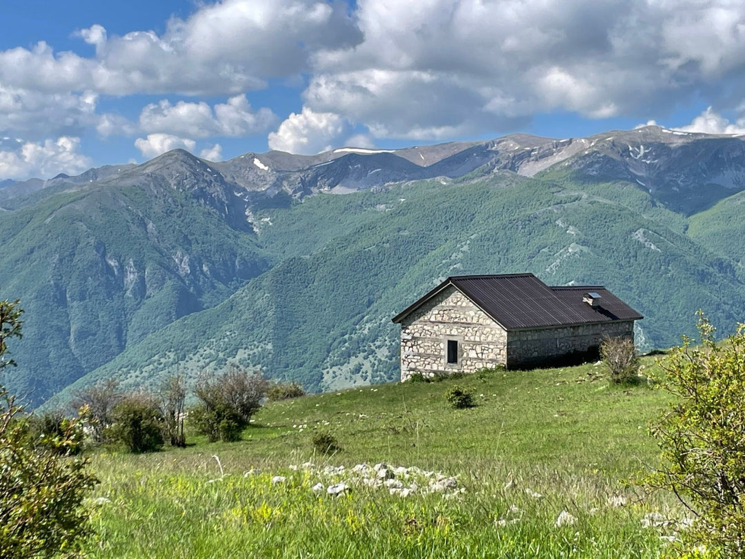 PNALM over 2000: in cammino tra le più alte vette dell'area protetta più antica d'Italia - Strike Adventure