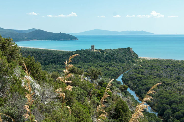 Trekking Ponte dell'Immacolata alla scoperta del Parco Costiero più bello d'Europa – Parco della Maremma, Toscana | Strike Adventure