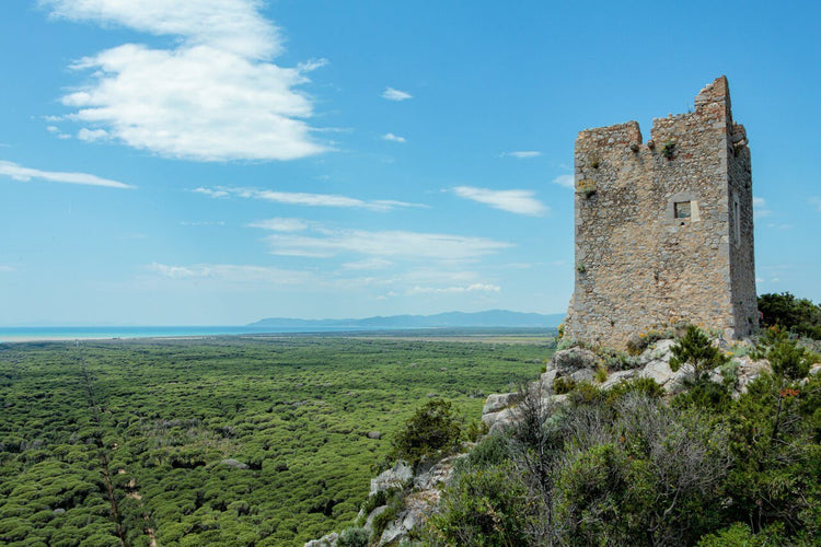 Trekking Ponte dell'Immacolata alla scoperta del Parco Costiero più bello d'Europa – Parco della Maremma, Toscana | Strike Adventure