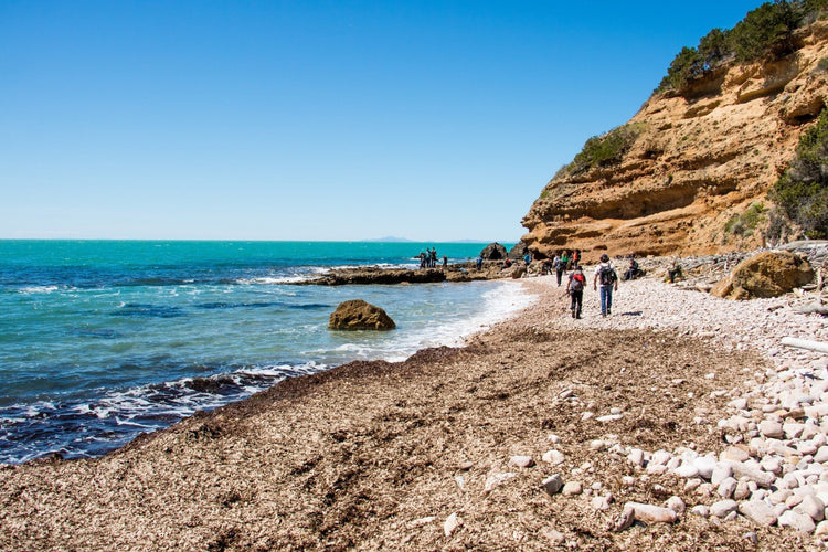 Trekking Ponte dell'Immacolata alla scoperta del Parco Costiero più bello d'Europa – Parco della Maremma, Toscana | Strike Adventure