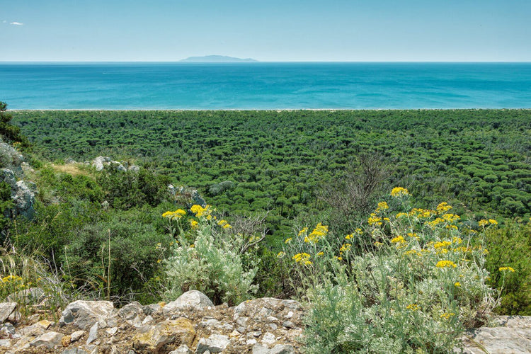 Trekking Ponte dell'Immacolata alla scoperta del Parco Costiero più bello d'Europa – Parco della Maremma, Toscana | Strike Adventure