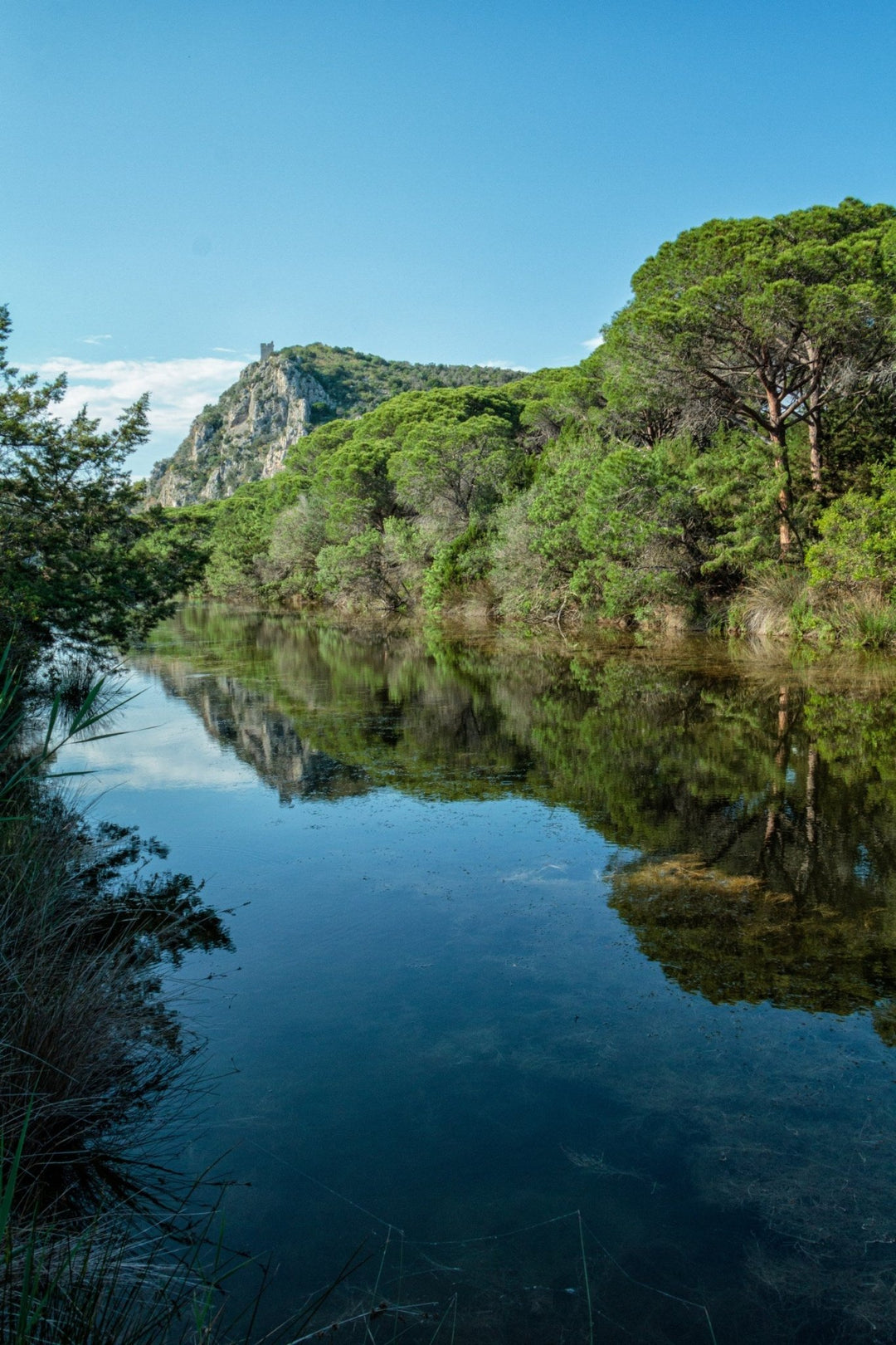 Trekking Ponte dell'Immacolata alla scoperta del Parco Costiero più bello d'Europa – Parco della Maremma, Toscana | Strike Adventure