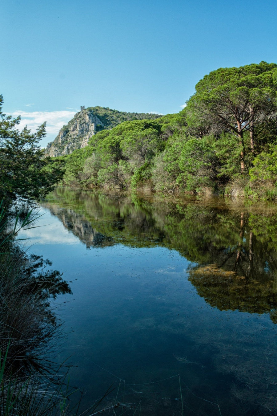 Trekking Ponte dell'Immacolata alla scoperta del Parco Costiero più bello d'Europa – Parco della Maremma, Toscana | Strike Adventure
