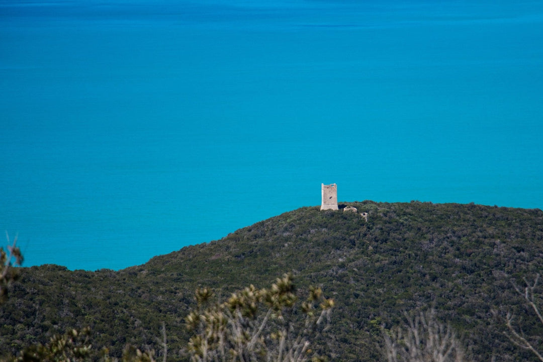 Trekking Ponte dell'Immacolata alla scoperta del Parco Costiero più bello d'Europa – Parco della Maremma, Toscana | Strike Adventure