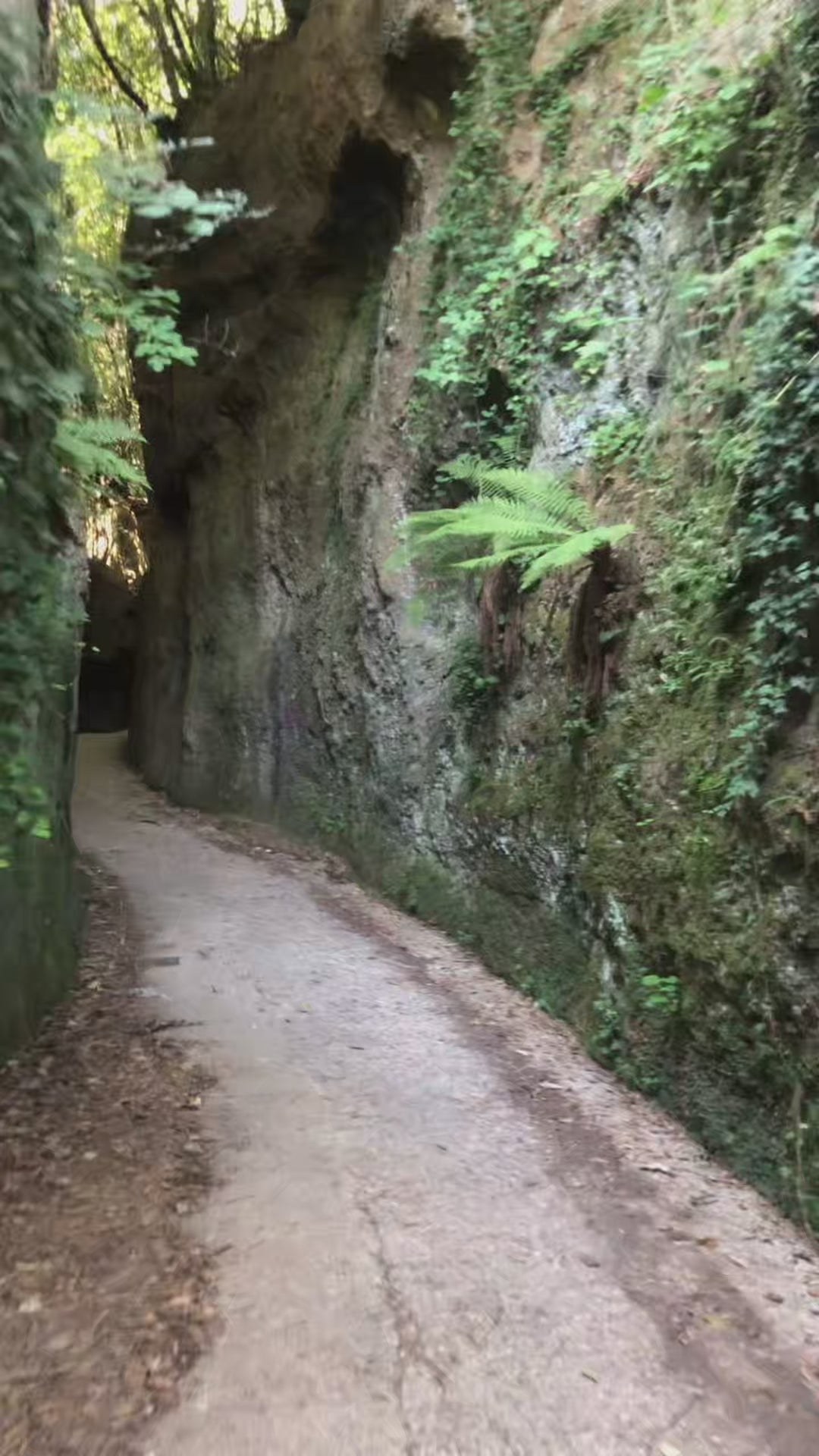 Trekking Alla scoperta di Corchiano: acqua, pietra e antiche vie – Area della Tuscia, Lazio | Strike Adventure