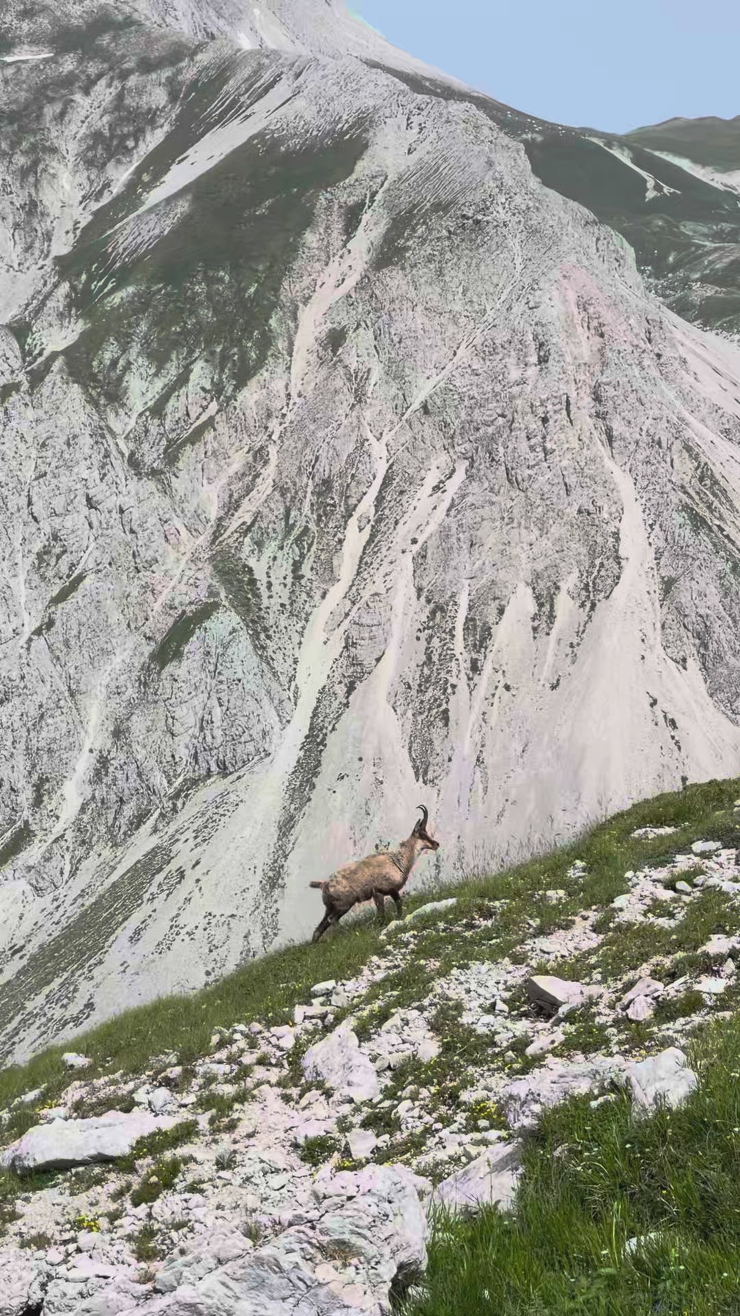 escursione-al- pizzo-d-intermesoli-strike-adventure