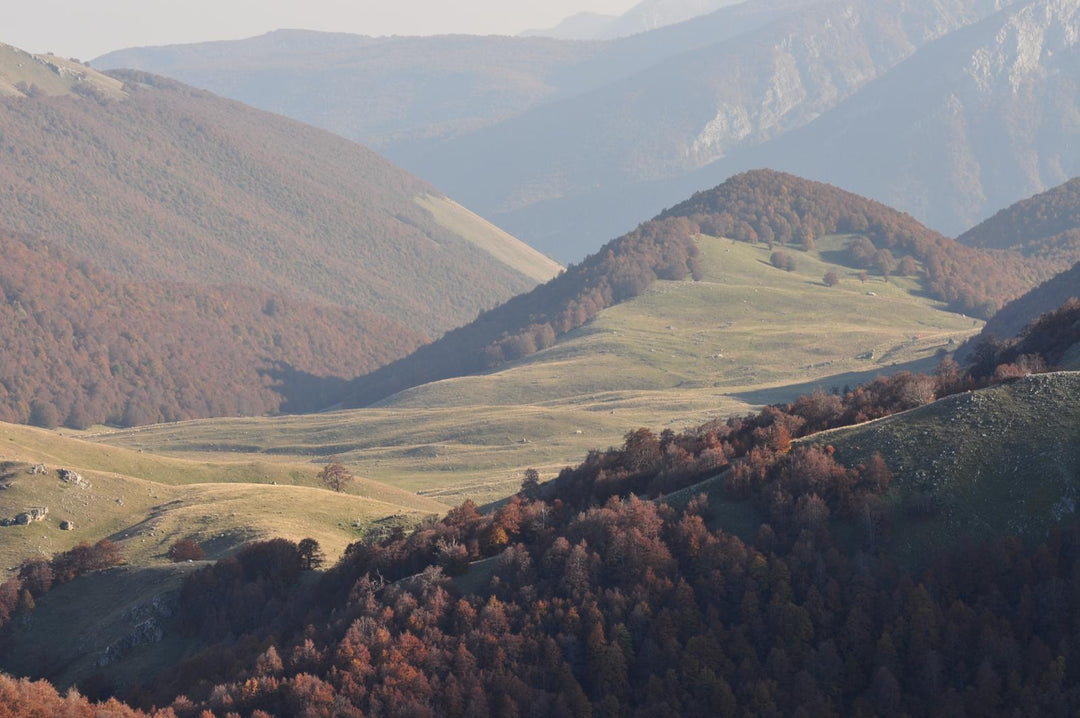 Trekking Serra di Capra Morta: carezze d’autunno tra foliage e merenda in Rifugio – Parco Nazionale d'Abruzzo, Lazio e Molise, Abruzzo | Strike Adventure