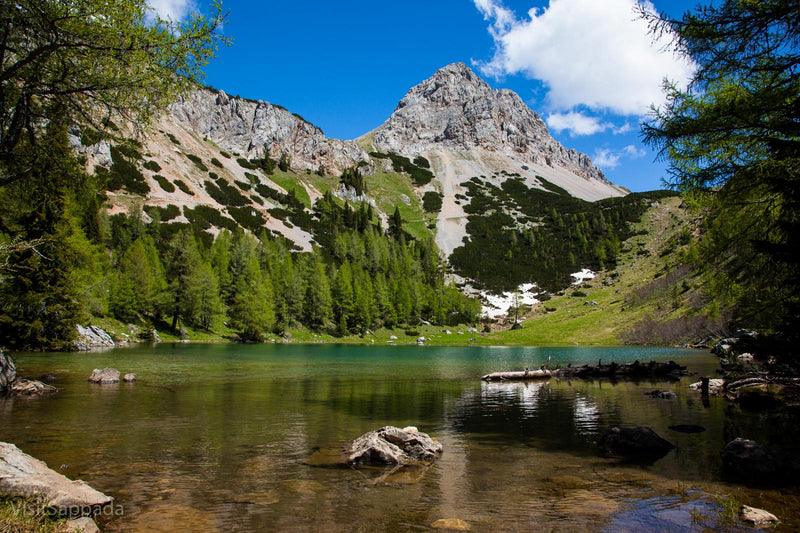 Settimana Verde a Sappada tra le Meraviglie delle Alpi Carniche (Formula Trek) - Strike Adventure
