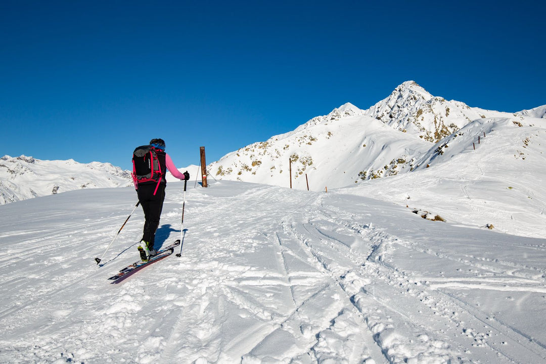 Ski Alp Private Tour - Strike Adventure