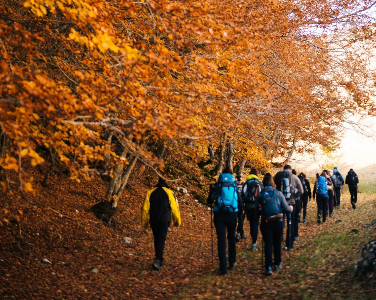 Trekking Capodanno nel Parco Nazionale dei Monti Sibillini | Strike Adventure