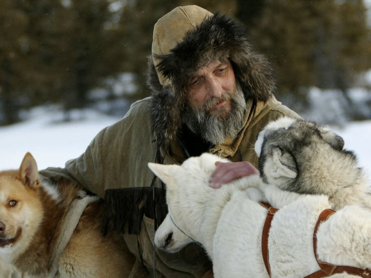 Strike Carnival Party - Strike Adventure