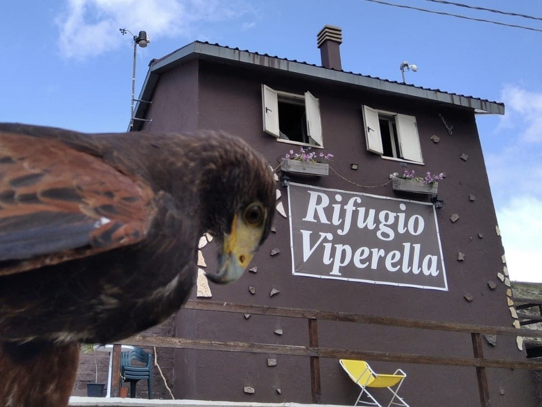 Tramonto al Monte Cotento con cena al Rifugio Viperella - Strike Adventure