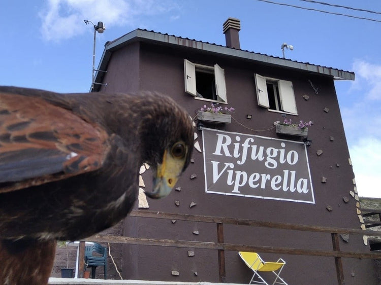 Tramonto al Monte Cotento con cena al Rifugio Viperella - Strike Adventure