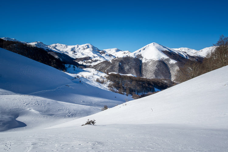 Trekking 3 giorni in ciaspola nell'area protetta più antica d'Italia - PNALM Epiphany Edition – Parco Nazionale d'Abruzzo, Lazio e Molise, Abruzzo | Strike Adventure