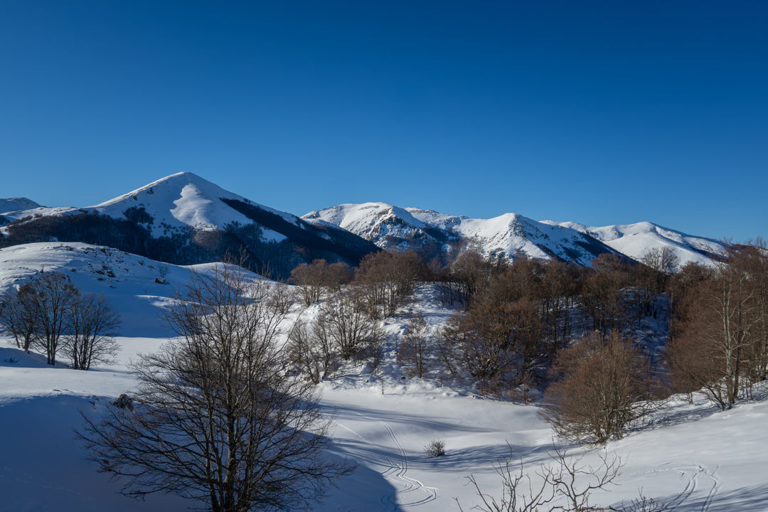 Trekking 3 giorni in ciaspola nell'area protetta più antica d'Italia - PNALM Epiphany Edition – Parco Nazionale d'Abruzzo, Lazio e Molise, Abruzzo | Strike Adventure