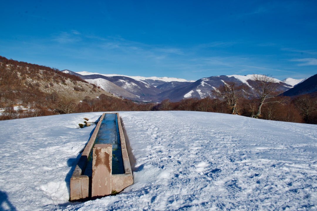 Trekking 3 giorni in ciaspola nell'area protetta più antica d'Italia - PNALM Epiphany Edition – Parco Nazionale d'Abruzzo, Lazio e Molise, Abruzzo | Strike Adventure