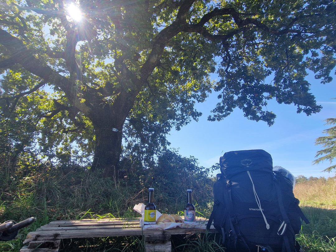 Trekking 3 Giorni sul Cammino dell'Intrepido Larth – Area della Tuscia, Umbria | Strike Adventure