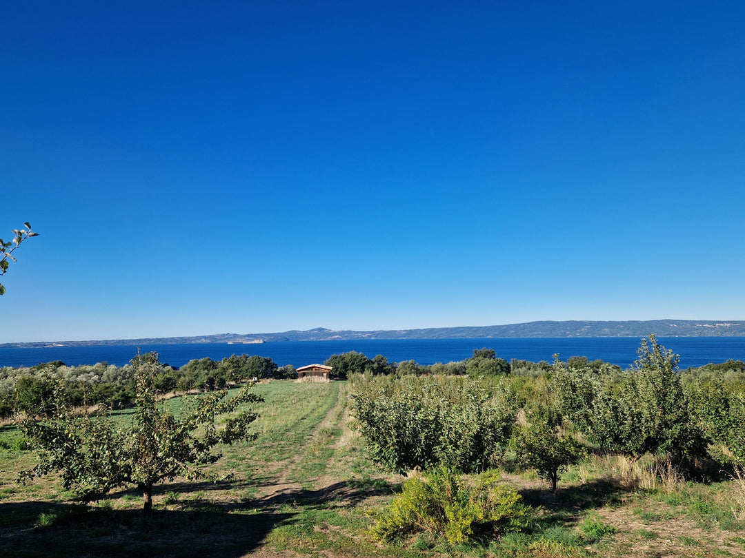 Trekking 3 Giorni sul Cammino dell'Intrepido Larth – Area della Tuscia, Umbria | Strike Adventure