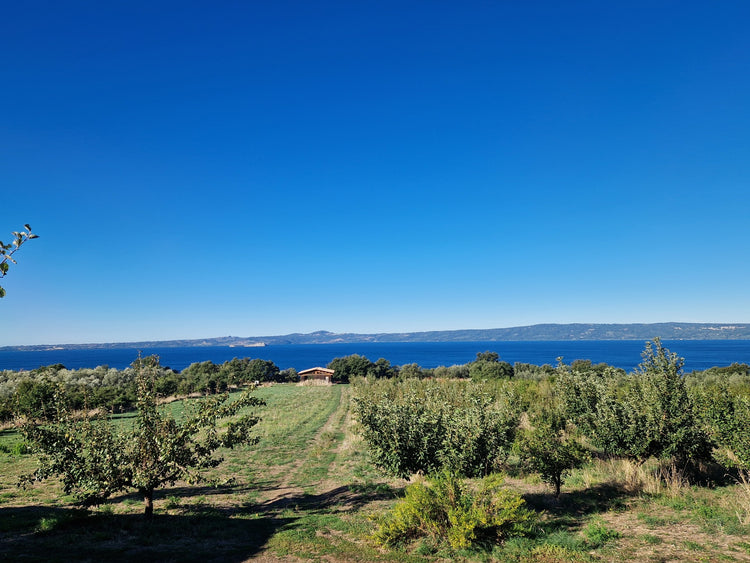 Trekking 3 Giorni sul Cammino dell'Intrepido Larth – Area della Tuscia, Umbria | Strike Adventure