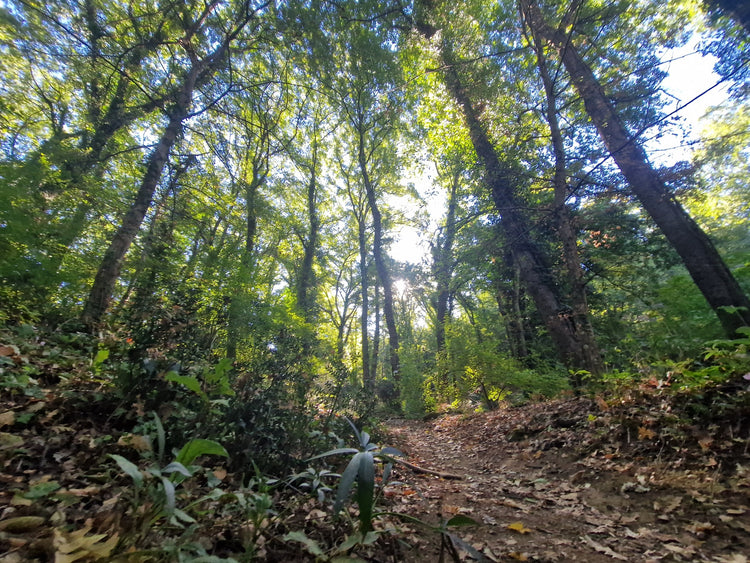Trekking 3 Giorni sul Cammino dell'Intrepido Larth – Area della Tuscia, Umbria | Strike Adventure