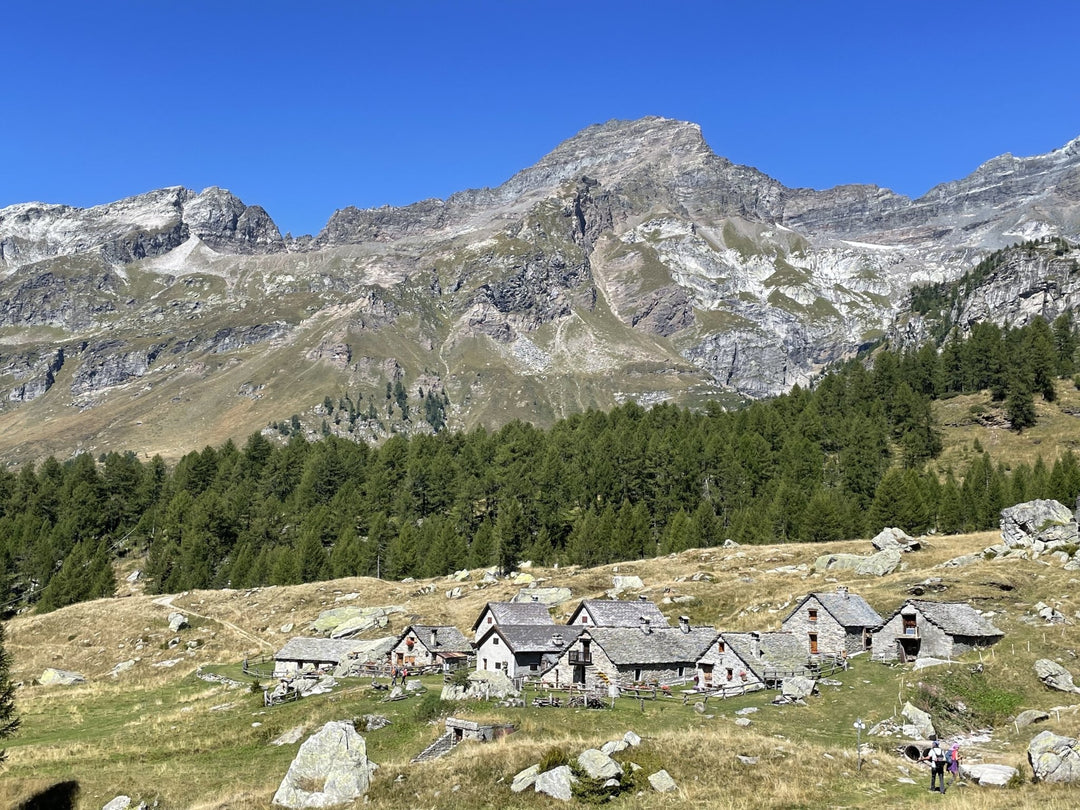 Settimana Verde tra le Alpi Selvagge dell'Ossola (Formula Trek)