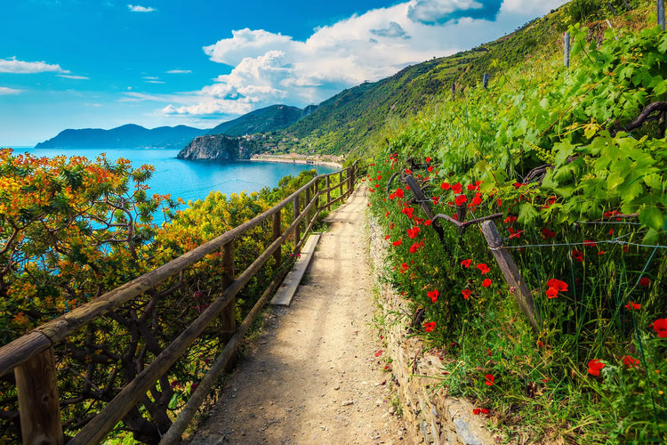 Trekking Alta Via delle Cinque Terre | Strike Adventure