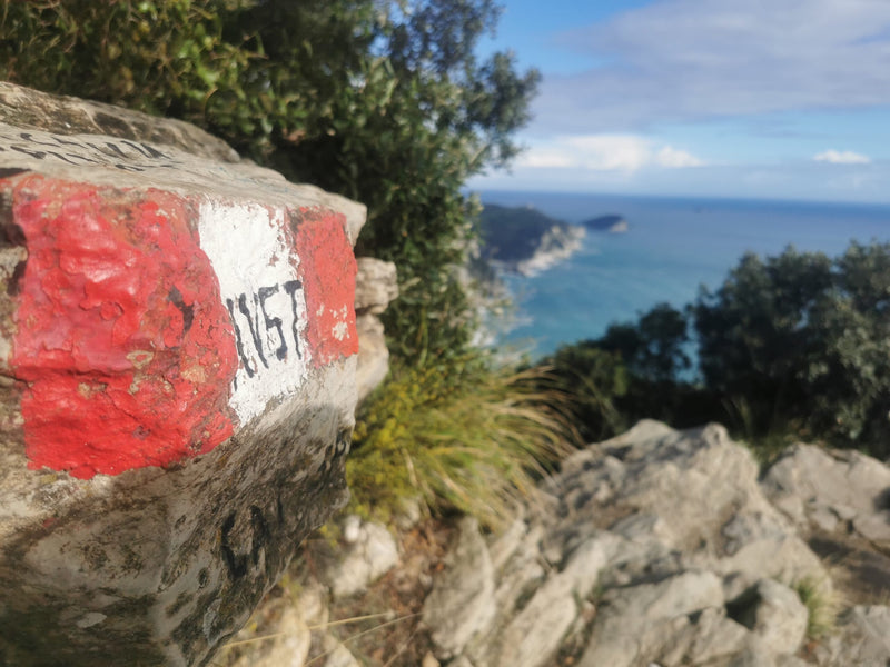 Trekking Alta Via delle Cinque Terre | Strike Adventure