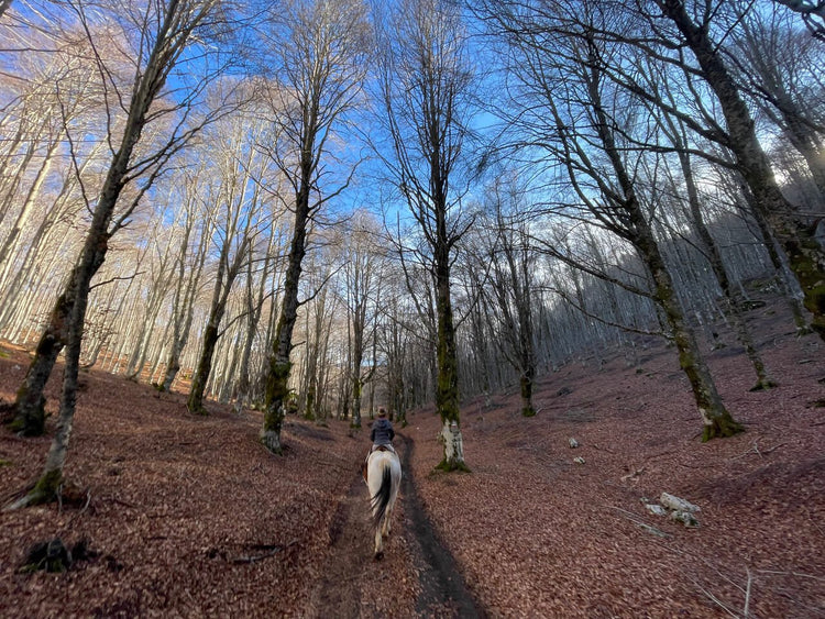 Trekking Equestre tra i Monti Simbruini: una giornata a cavallo con pranzo in Rifugio - Strike Adventure