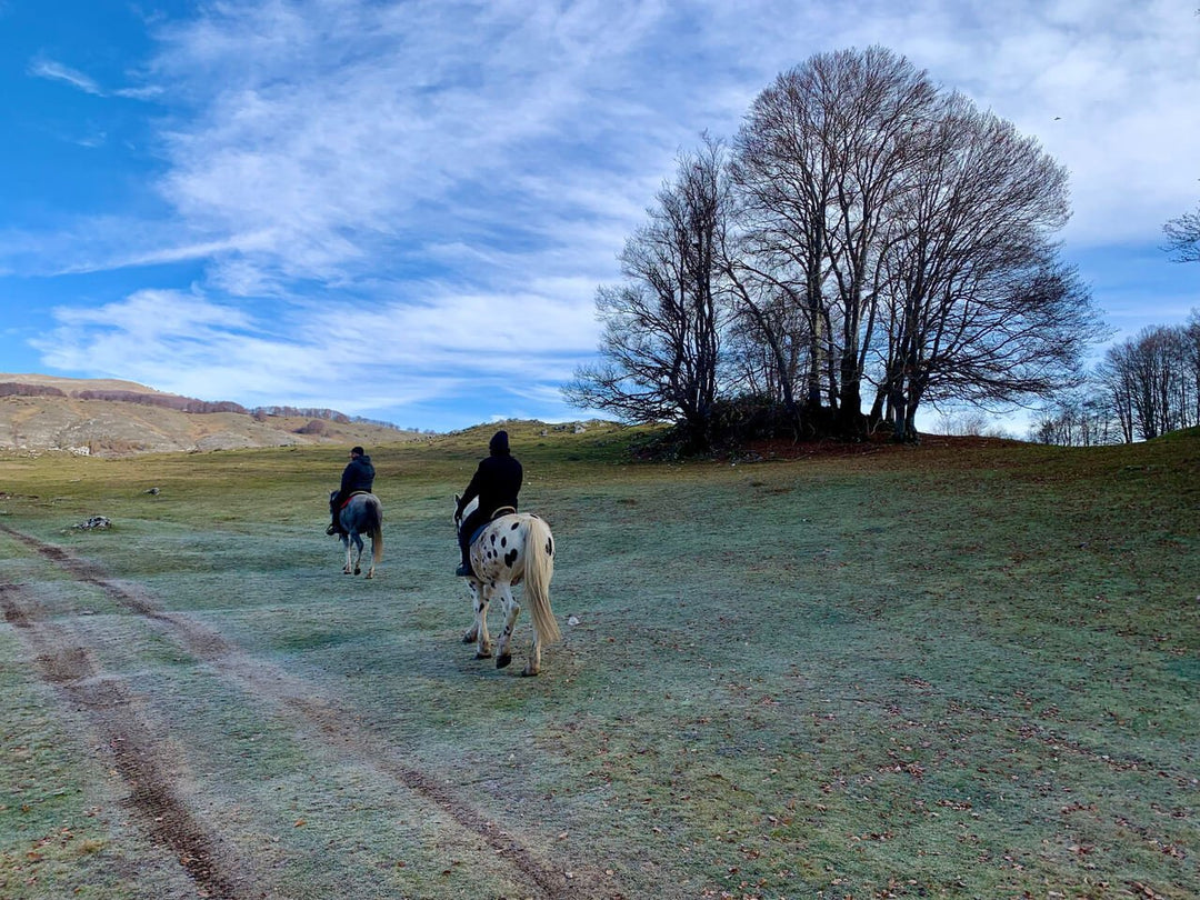 Trekking Equestre tra i Monti Simbruini: una giornata a cavallo con pranzo in Rifugio - Strike Adventure