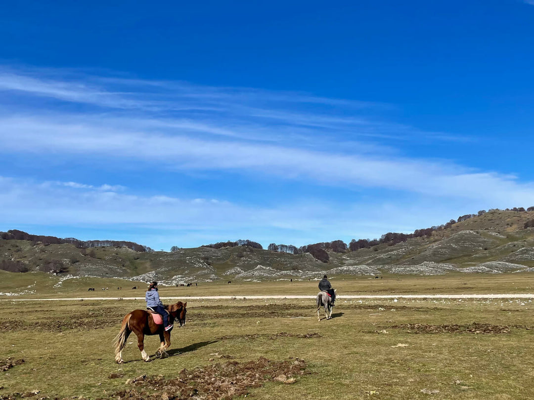Trekking Equestre tra i Monti Simbruini: una giornata a cavallo con pranzo in Rifugio - Strike Adventure