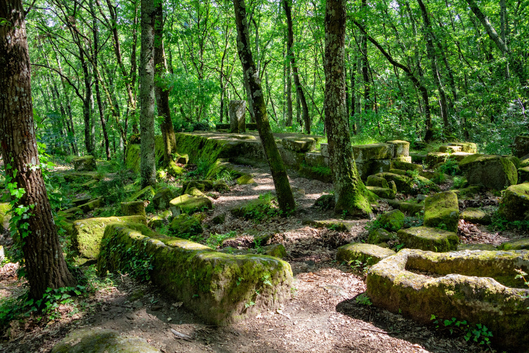 Trekking Escursione tra storia e natura: la piramide etrusca e il sito di S.Cecilia – Area Archeologica di Bomarzo, Lazio | Strike Adventure