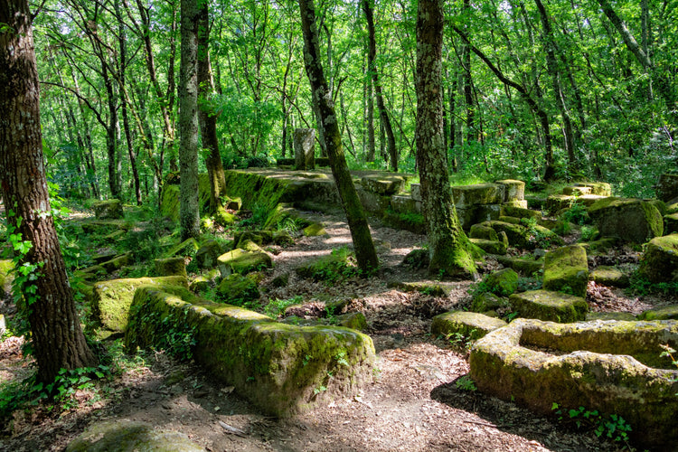 Trekking Escursione tra storia e natura: la piramide etrusca e il sito di S.Cecilia – Area Archeologica di Bomarzo, Lazio | Strike Adventure